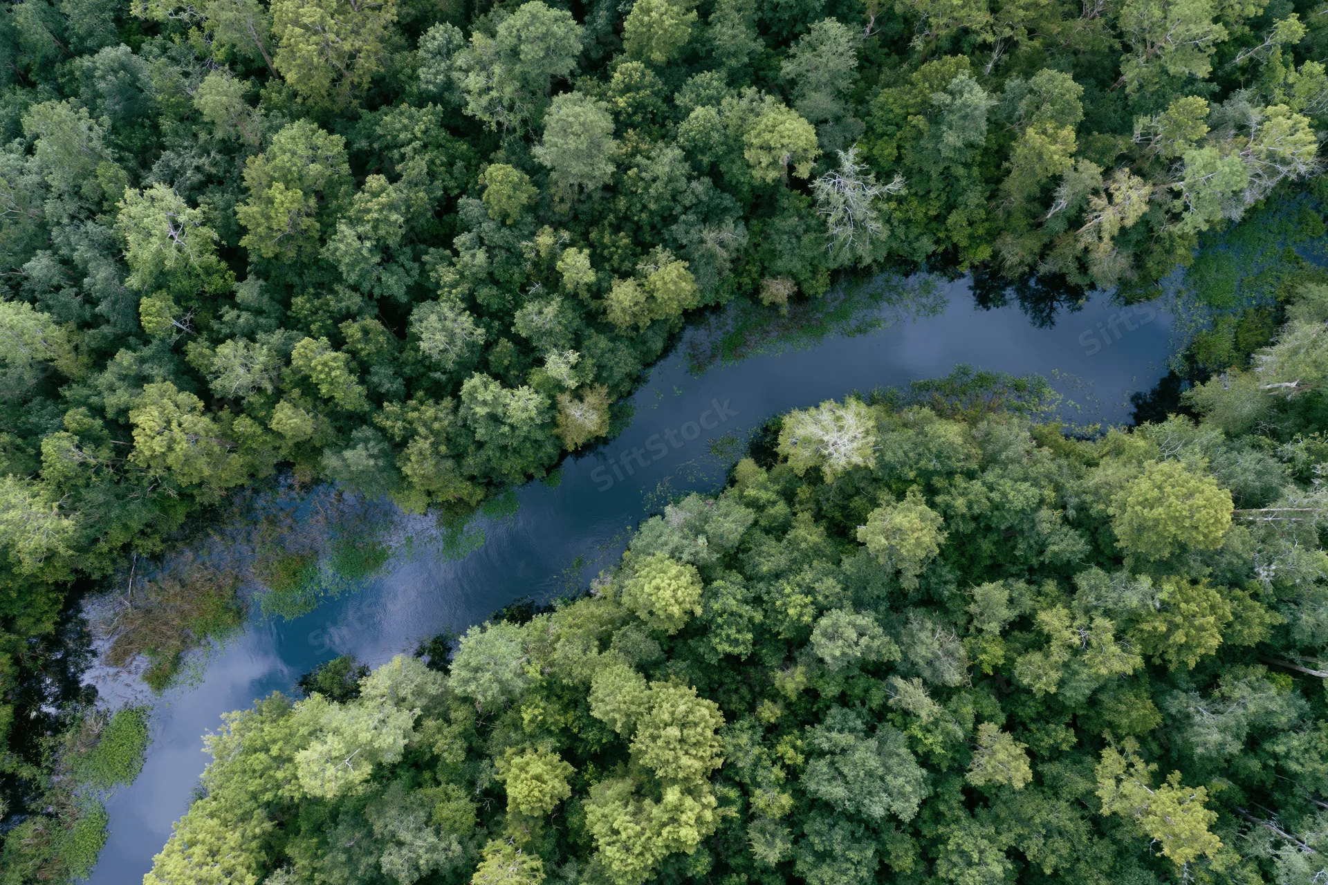 Aerial top-down view of a winding dark river snaking through dense green forest