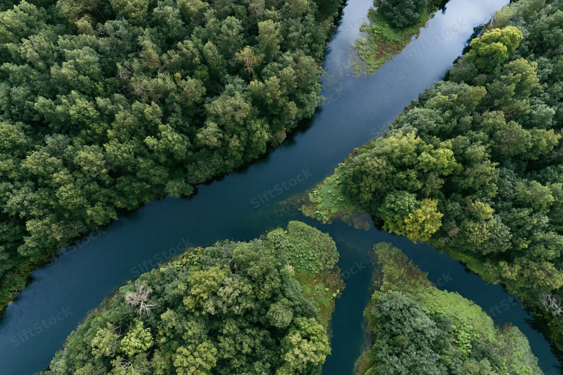 Aerial top-down view of a winding dark river snaking through dense green forest