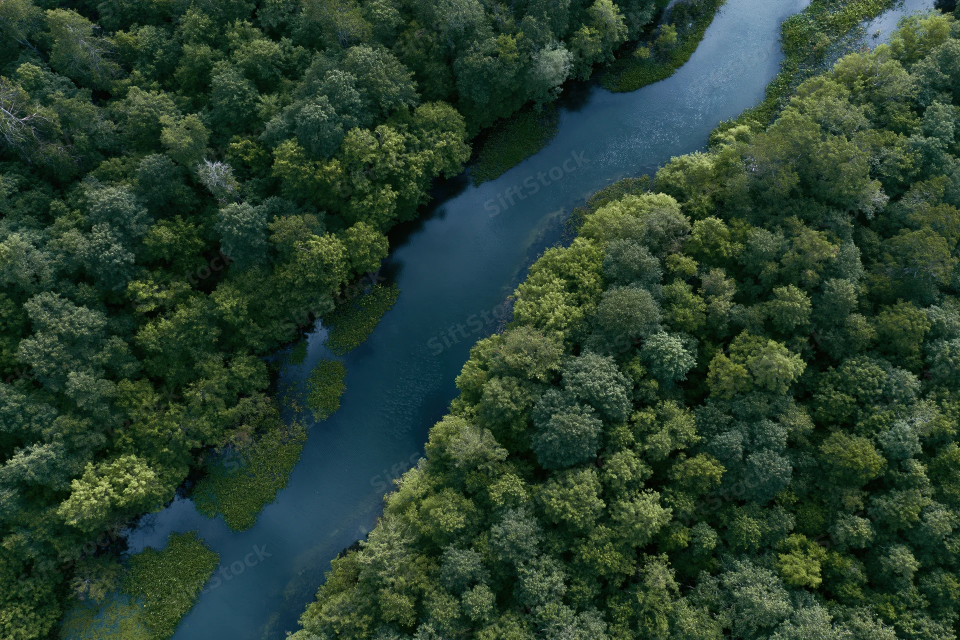 Aerial top-down view of a winding dark river snaking through dense green forest