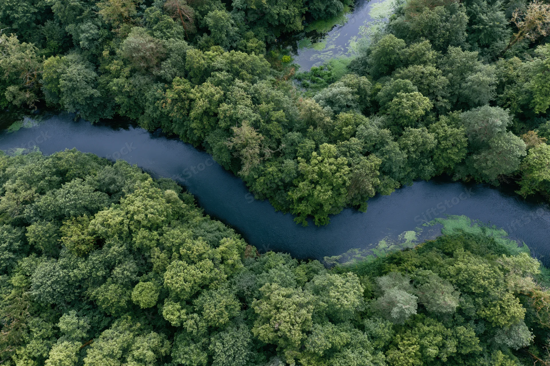Aerial top-down view of a winding dark river snaking through dense green forest canopy