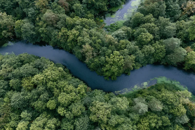 Aerial top-down view of a winding dark river snaking through dense green forest canopy
