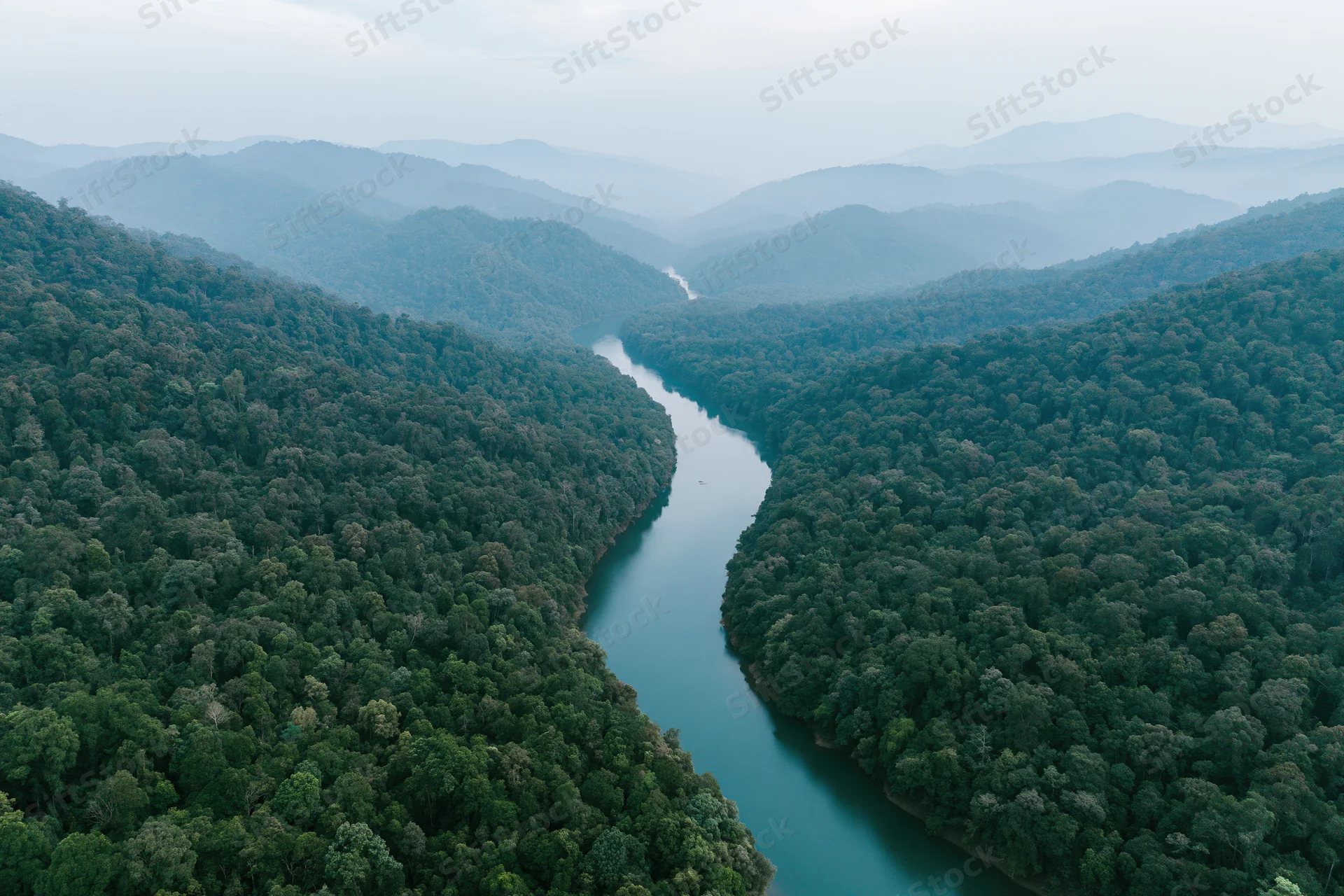 Aerial view of a winding river cutting through dense tropical forest