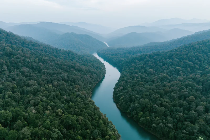 Aerial view of a winding river cutting through dense tropical forest
