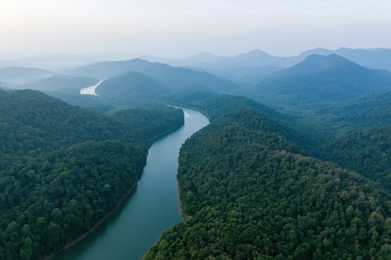 Aerial view of a winding river cutting through dense tropical forest