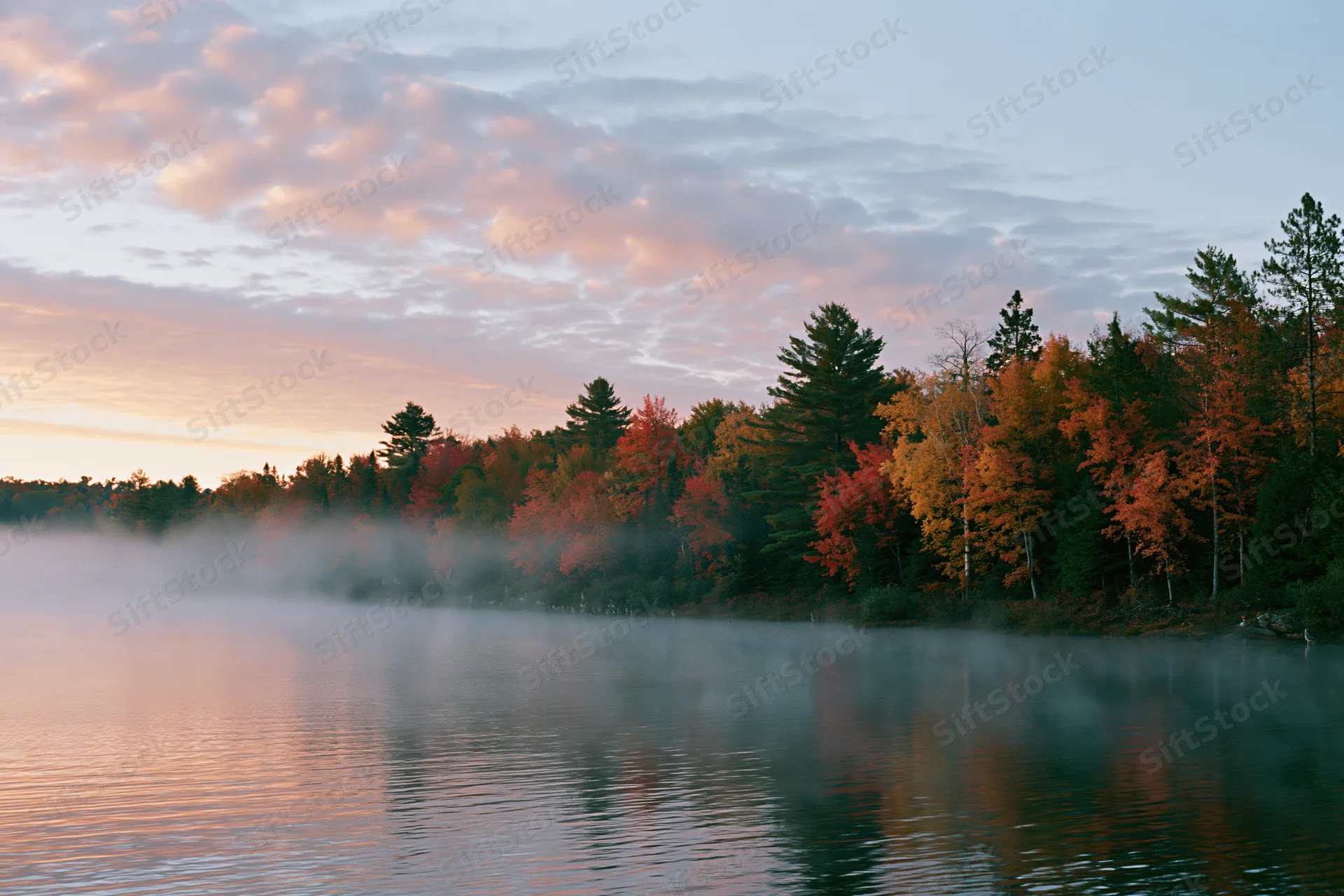 Autumn forest treeline along calm lake shoreline at sunrise with mist and colorful foliage reflections