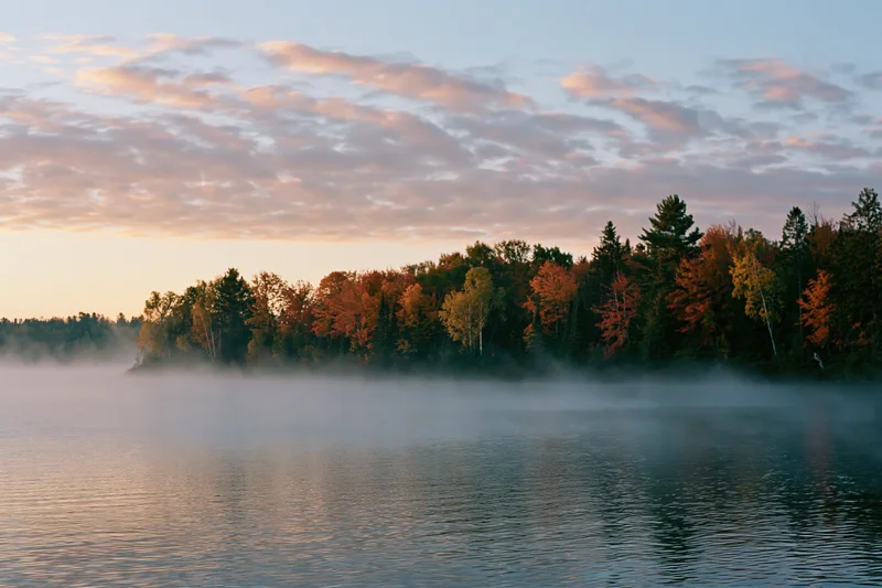 Autumn forest treeline along calm lake shoreline at dawn with mist rising over water