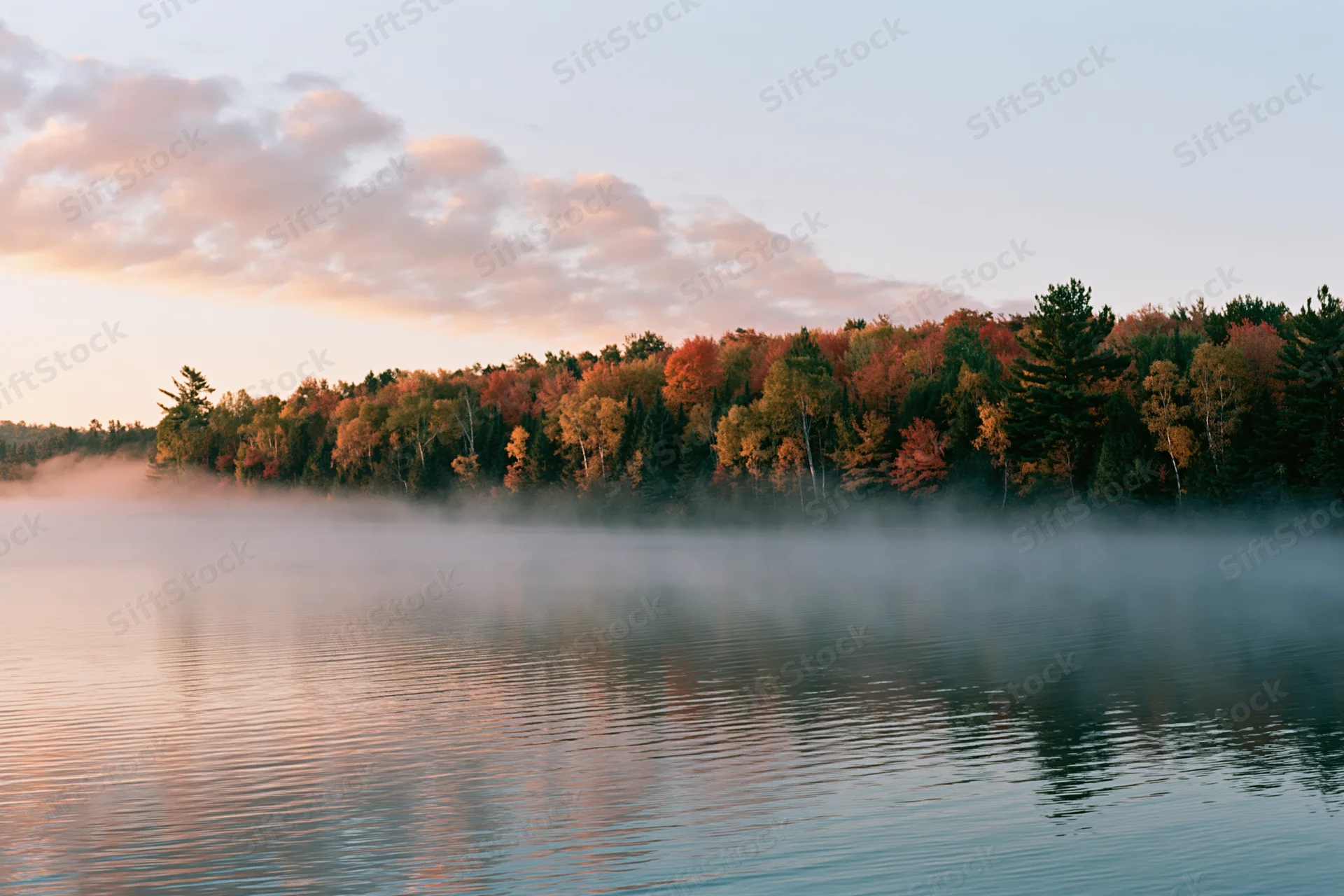 Autumn forest treeline along calm lake shoreline at early morning with mist and colorful foliage reflected in water