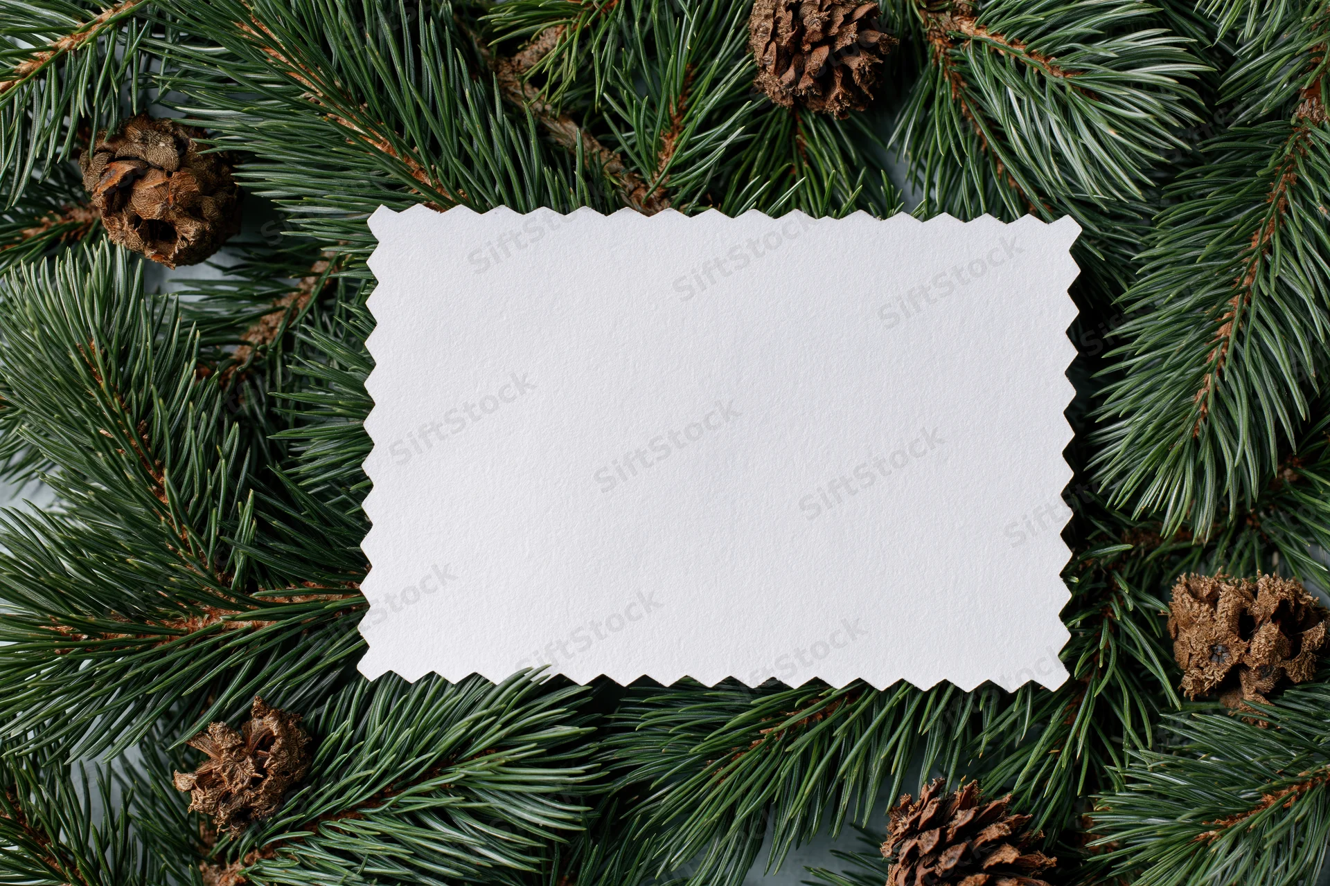 Blank white card with zigzag edges surrounded by pine branches and pinecones in a flat lay arrangement