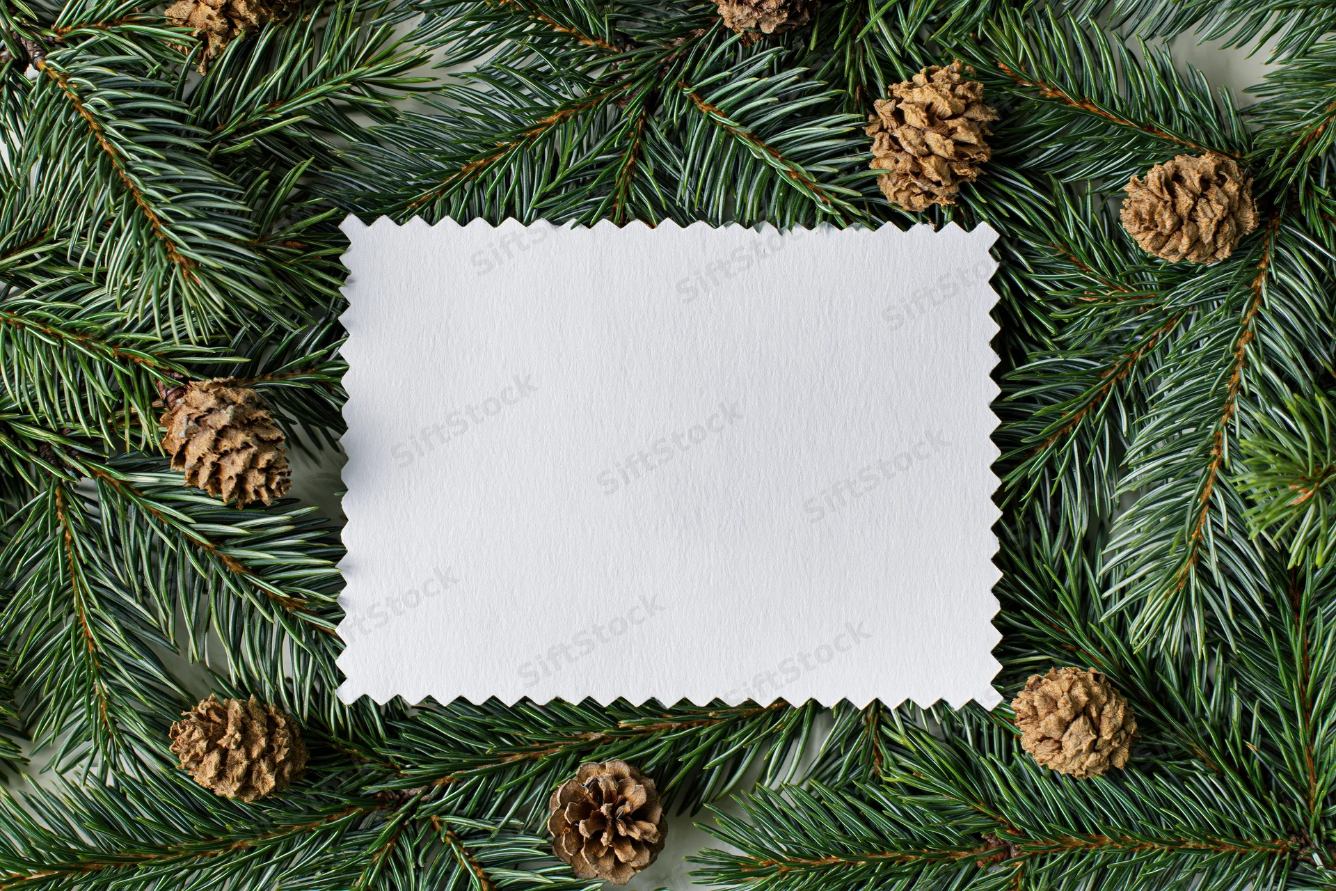 Blank white card with zigzag edges framed by pine branches and pinecones on flat surface