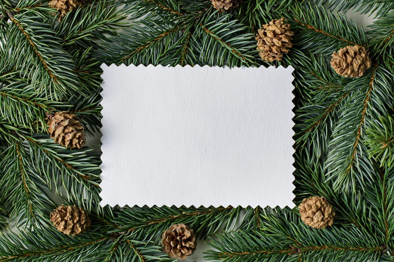 Blank white card with zigzag edges framed by pine branches and pinecones on flat surface
