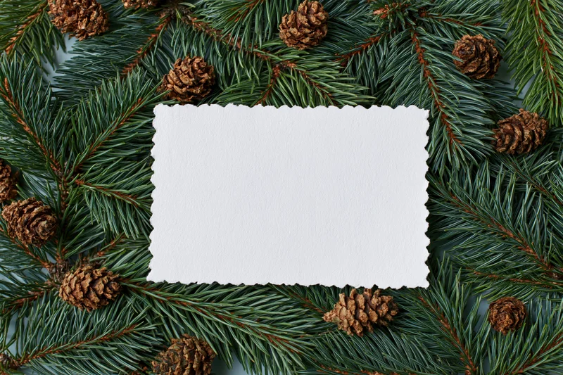 Blank white card with scalloped edges on a bed of pine branches and pinecones
