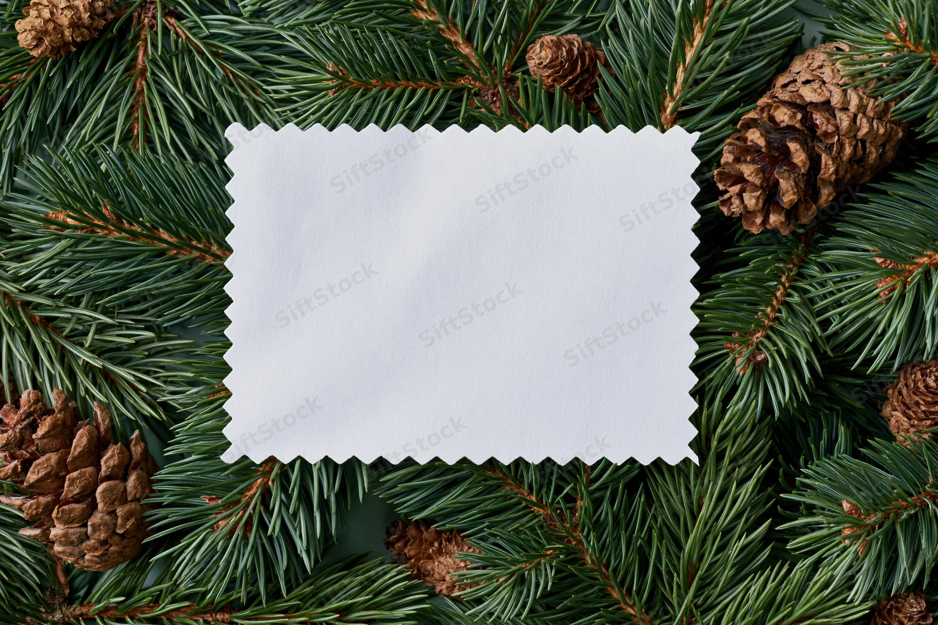 Blank white card with zigzag edges framed by pine branches and pinecones