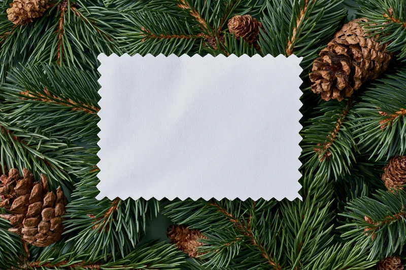 Blank white card with zigzag edges framed by pine branches and pinecones