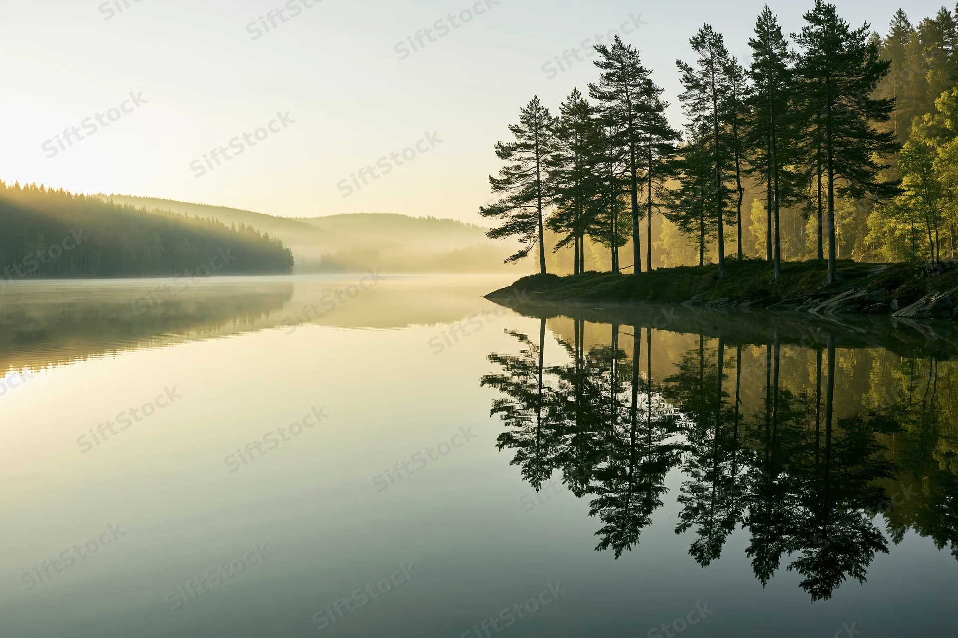 Calm lake at sunrise with pine trees reflected in still water along the shoreline
