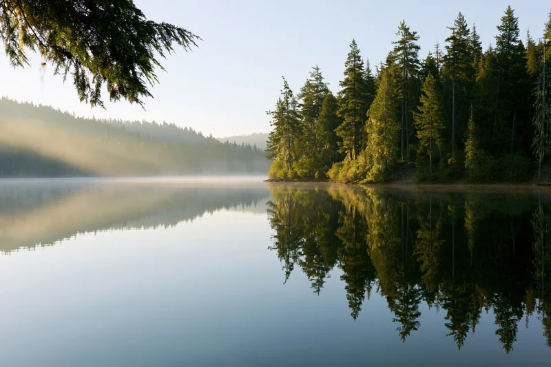 Calm lake at sunrise reflecting pine trees along the shoreline