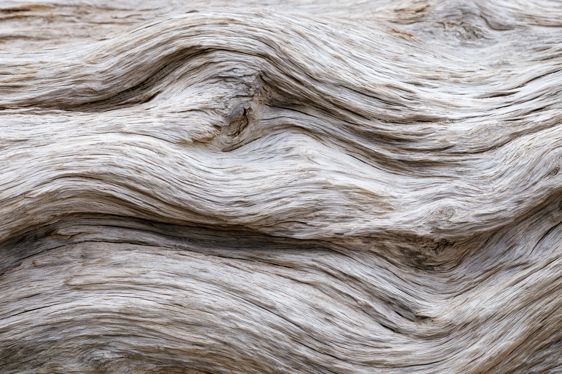 Close-up of weathered driftwood surface showing natural grain and texture