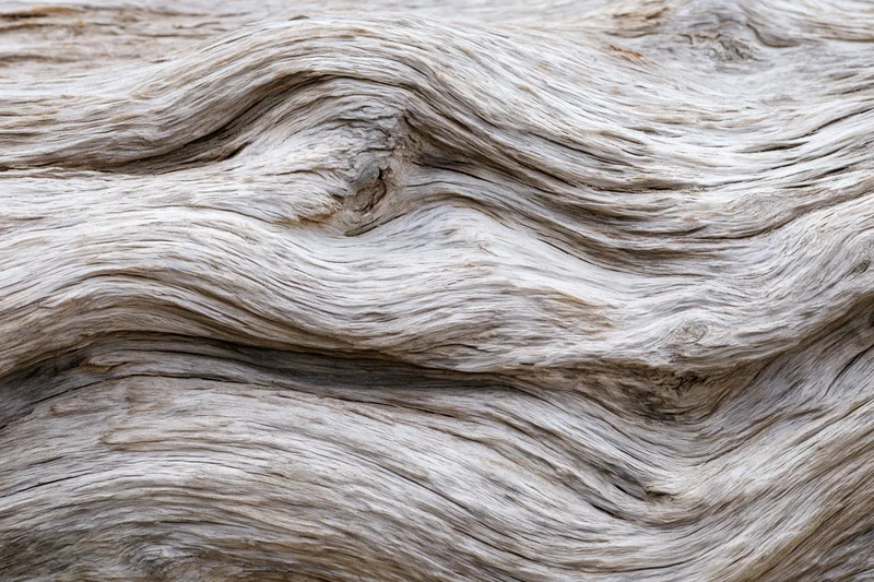Close-up of weathered driftwood surface showing natural grain and texture