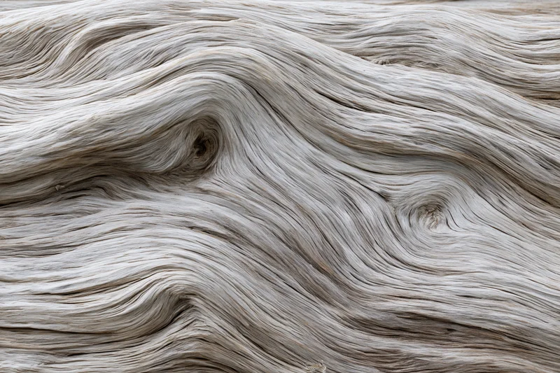 Close-up of weathered driftwood surface showing natural grain and knots