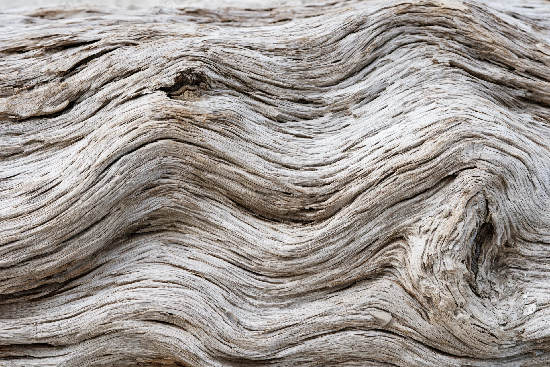 Close-up of weathered driftwood surface showing natural grain and texture