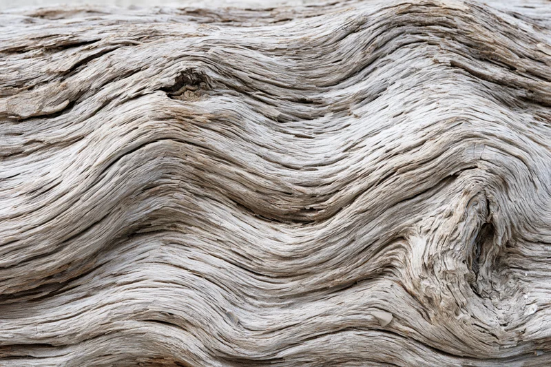 Close-up of weathered driftwood surface showing natural grain and texture