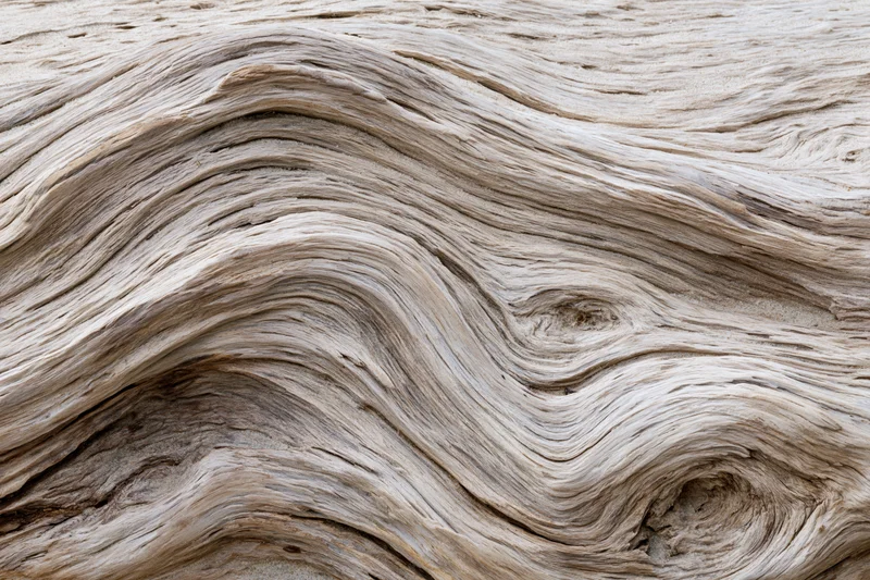 Close-up of weathered driftwood surface showing wavy grain patterns and natural texture