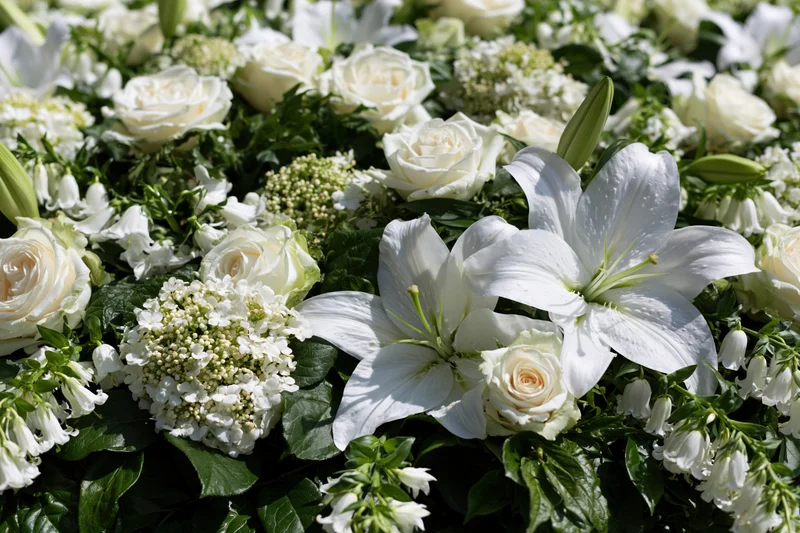 Dense white floral arrangement of roses, lilies and hydrangea with green leaves laid flat outdoors