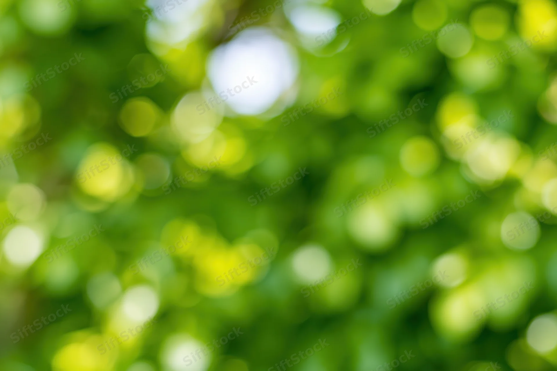 Defocused green garden foliage with bokeh light effects filling the frame