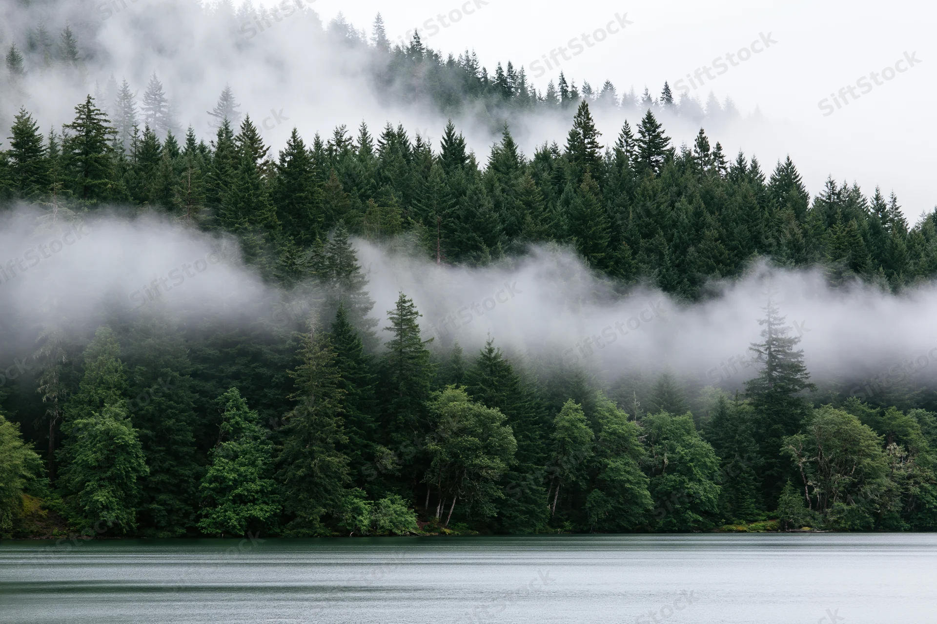 Fog drifting over a dense evergreen forest beside a calm lake