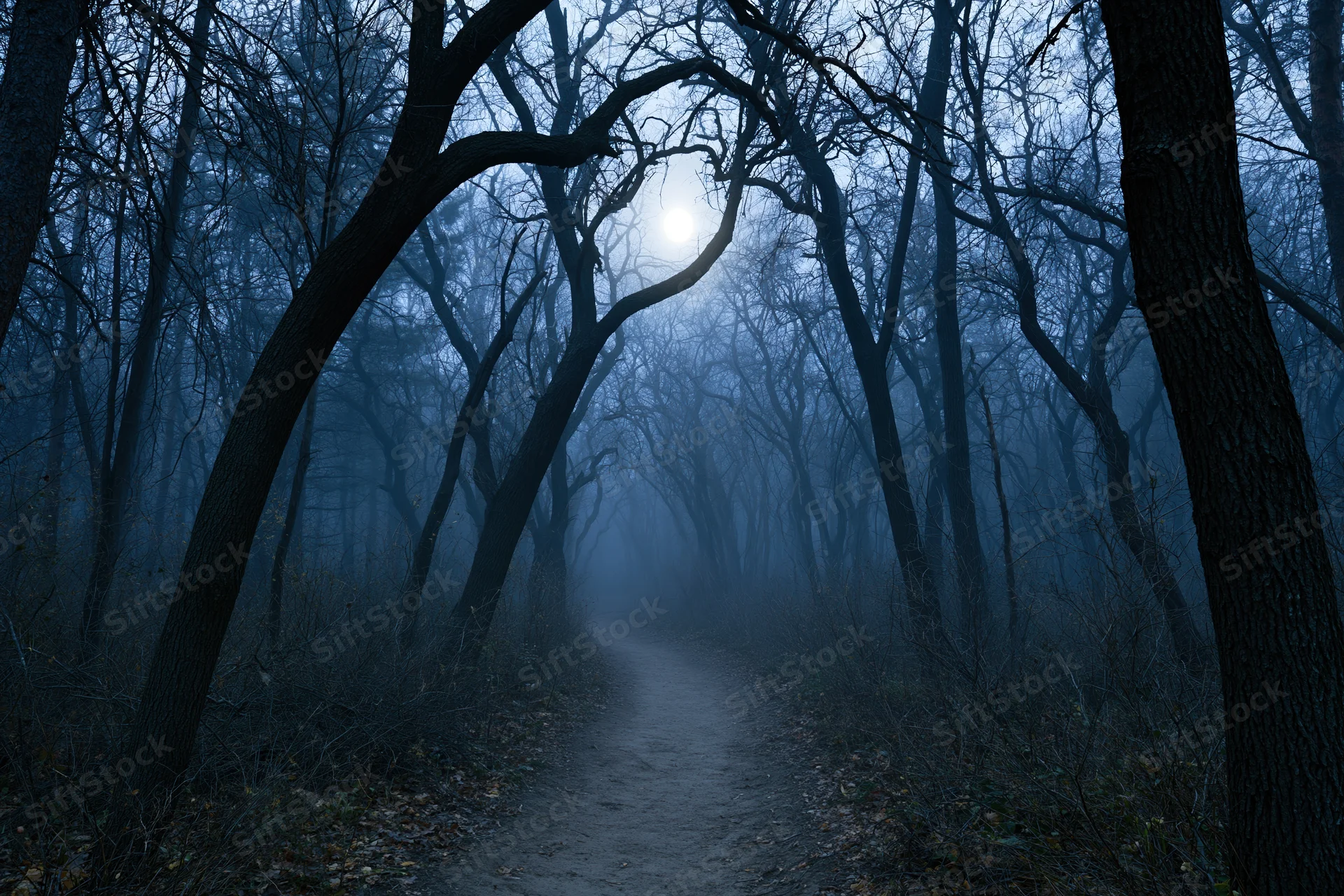 Narrow dirt path winding through dark forest at night with bare trees and fog under moonlight