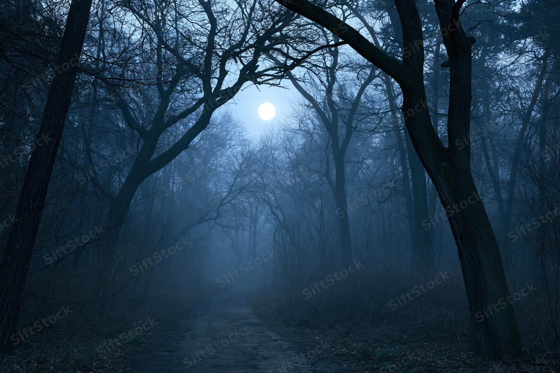 Narrow dirt path winding through dark forest at night under moonlight and fog