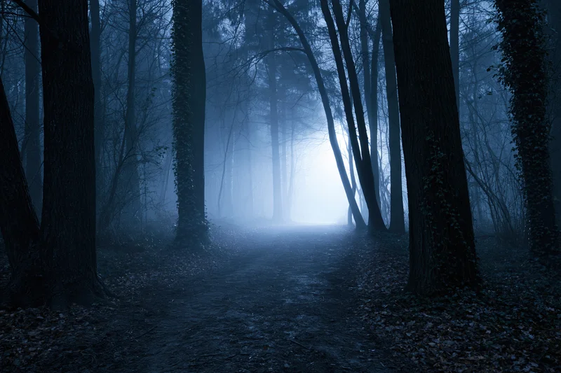 Narrow dirt path winding through dense dark forest at night, illuminated by misty light ahead