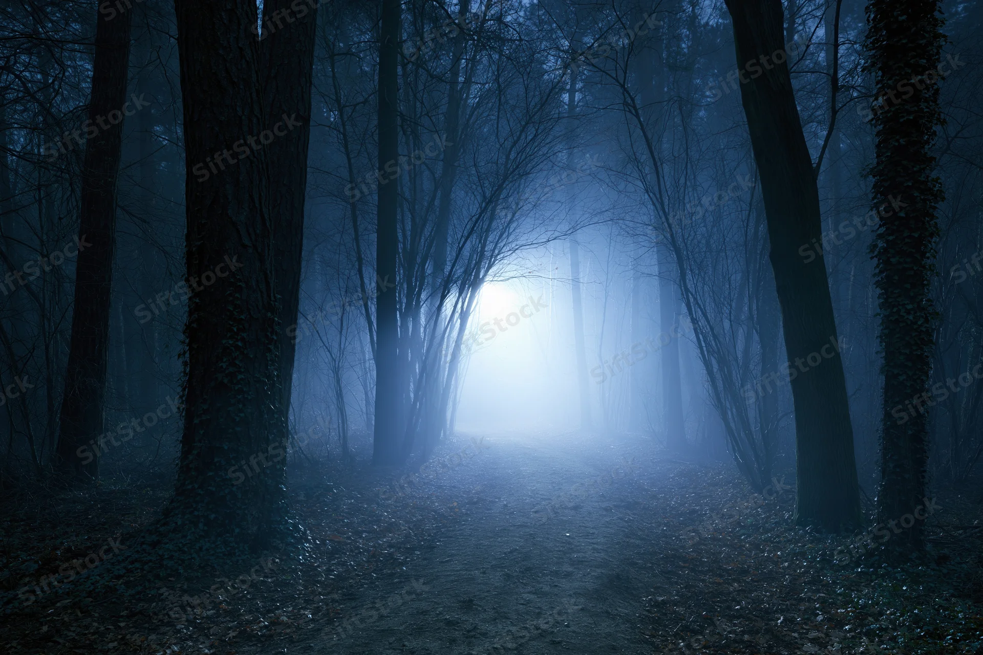 Narrow dirt path through dark foggy forest at night with light glowing in distance