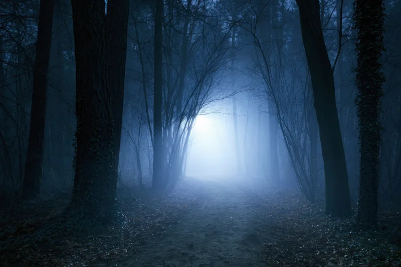 Narrow dirt path through dark foggy forest at night with light glowing in distance