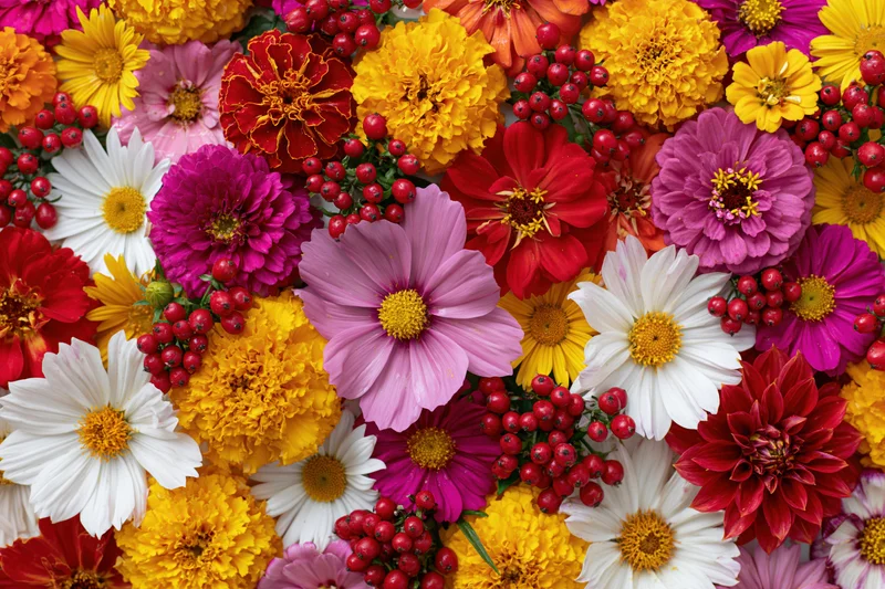 Dense flat-lay of mixed garden flowers and red berries filling the frame