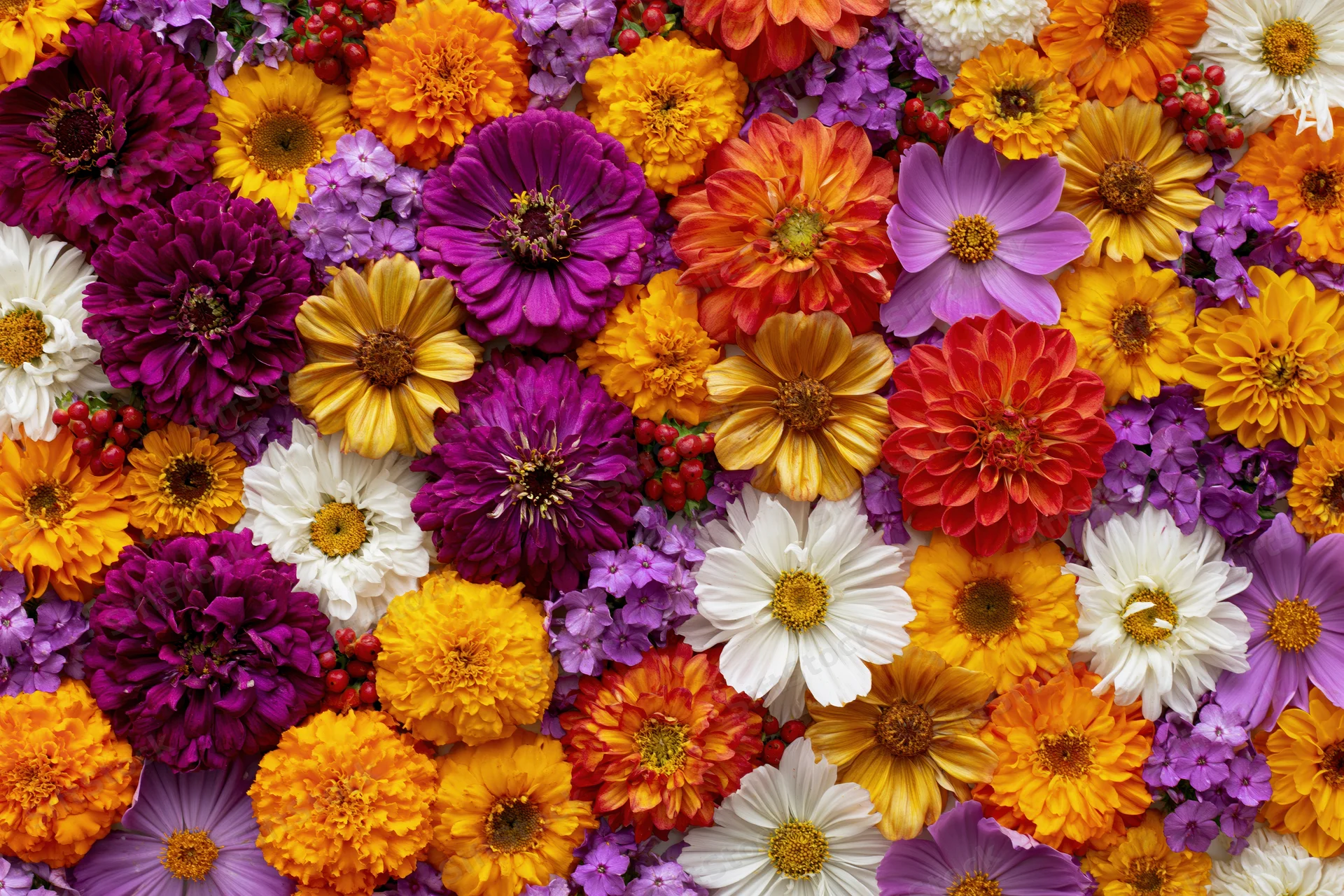 Dense flat lay of mixed garden flowers covering the entire frame in vibrant colors