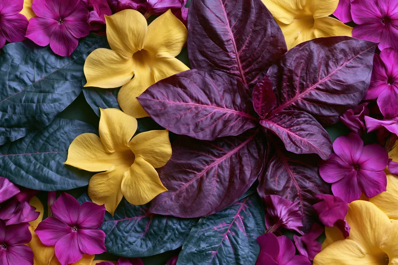 Dense flat lay of tropical flowers and large ornamental leaves arranged overhead with vibrant colors