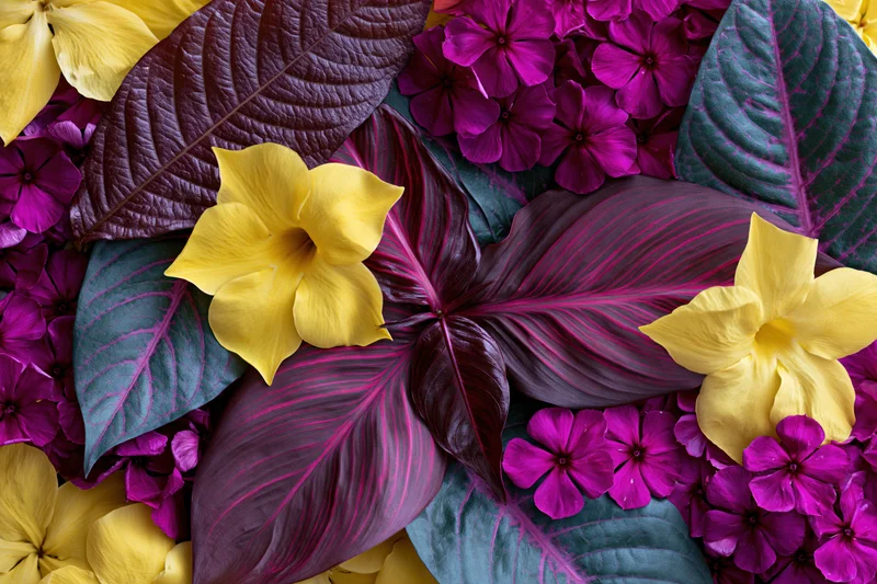 Dense flat lay of tropical flowers and ornamental leaves in vibrant yellow and purple hues