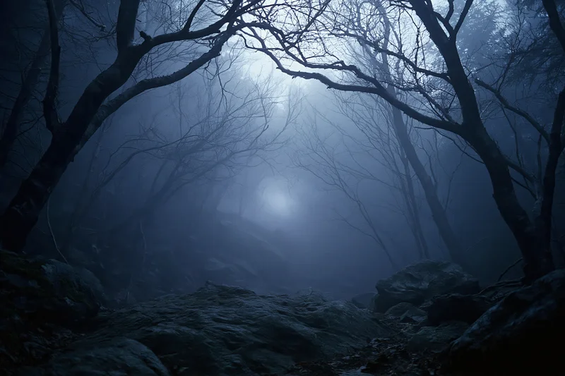 Foggy forest at night with bare twisted trees framing a dim moonlit path among rocks