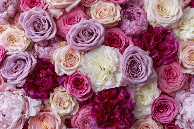 Dense wall of tightly packed roses and peonies in shades of pink, purple, and white