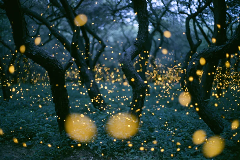 Fireflies glowing among twisted dark trees in a forest at night