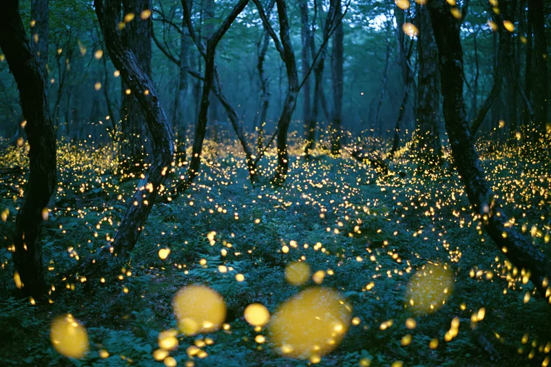 Fireflies glowing among dark twisted trees in a forest at night