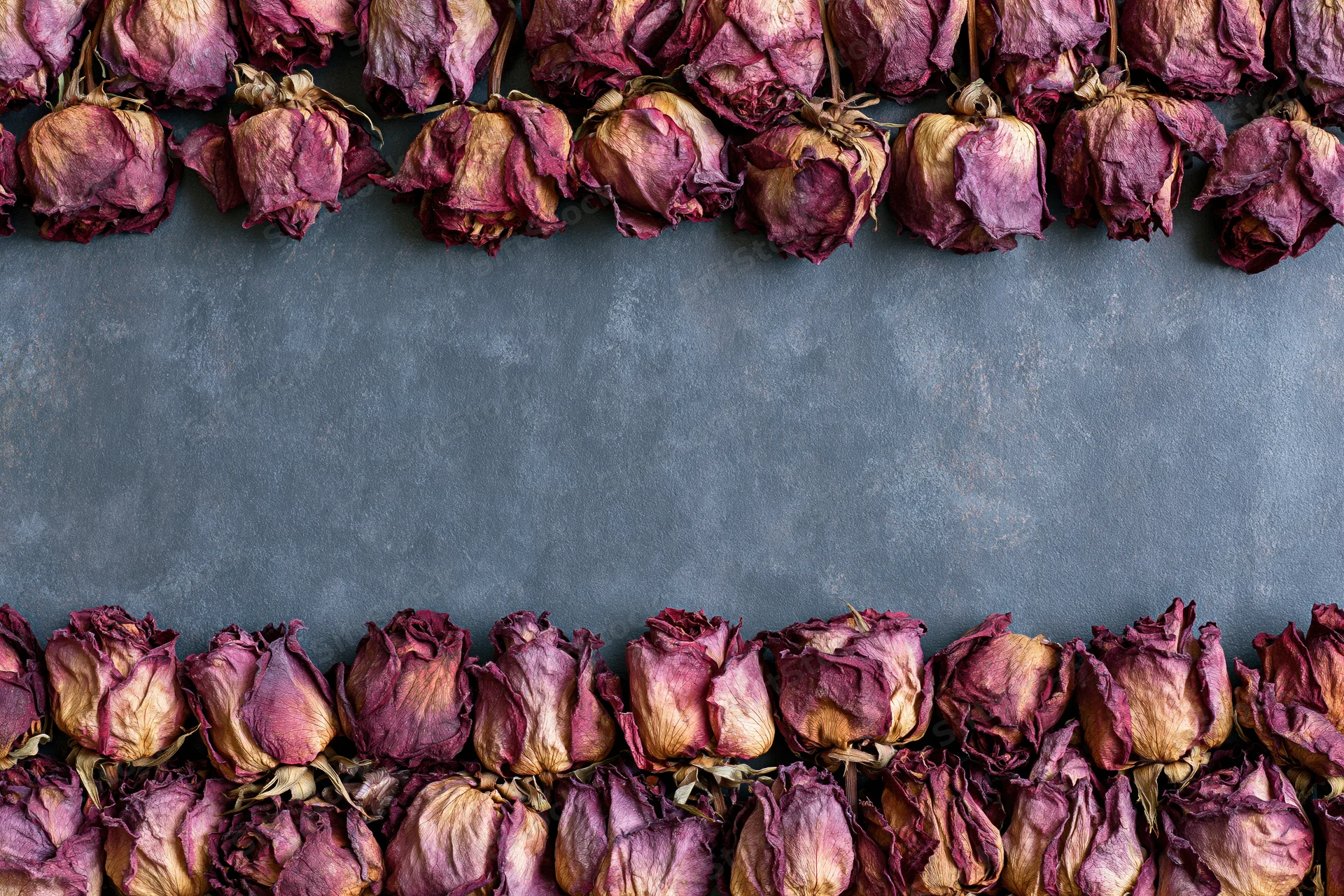 Dried roses arranged in rows along the top and bottom of a gray textured surface