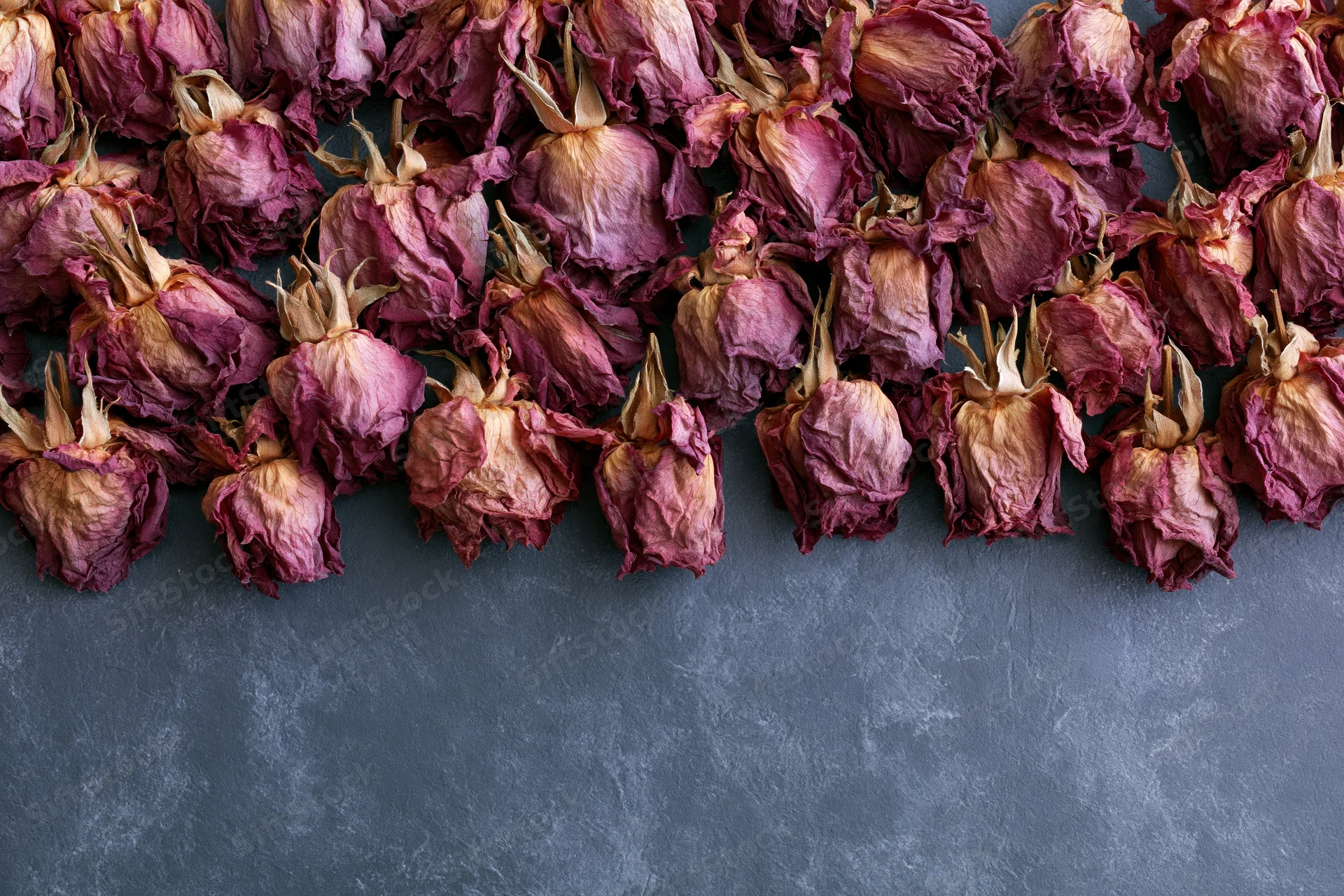 Dried roses arranged in a dense row across a dark gray textured surface