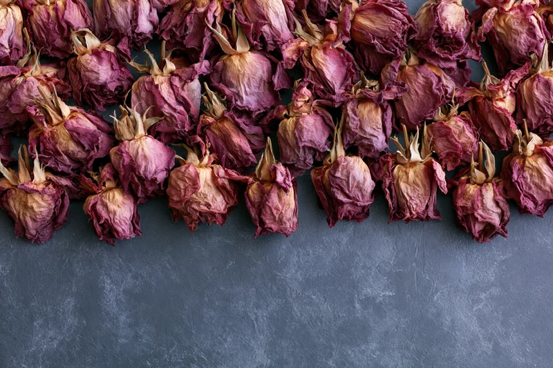 Dried roses arranged in a dense row across a dark gray textured surface