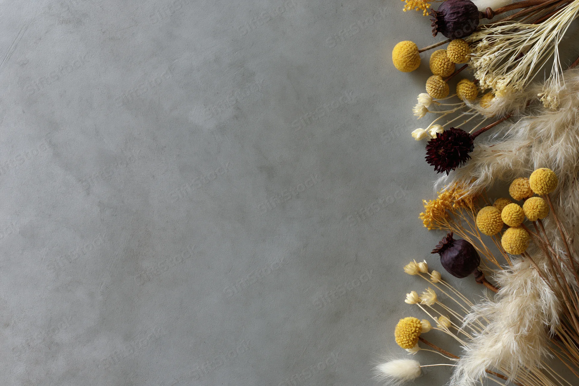 Dried wildflowers and seed pods arranged along the right edge of a gray concrete surface