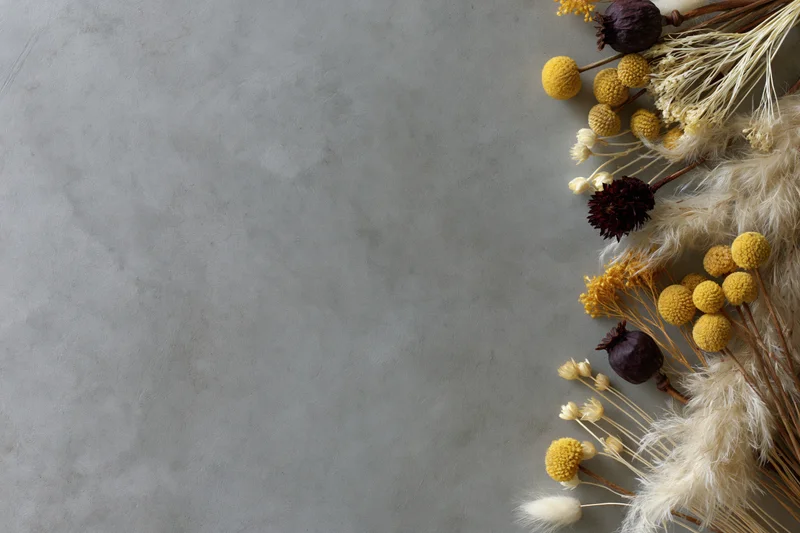 Dried wildflowers and seed pods arranged along the right edge of a gray concrete surface