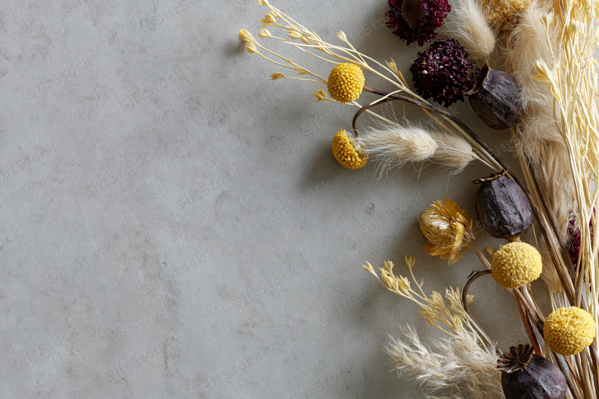 Dried wildflowers and seed pods arranged along the right side of a gray concrete surface