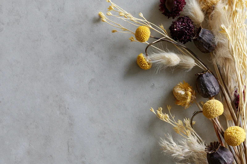 Dried wildflowers and seed pods arranged along the right side of a gray concrete surface