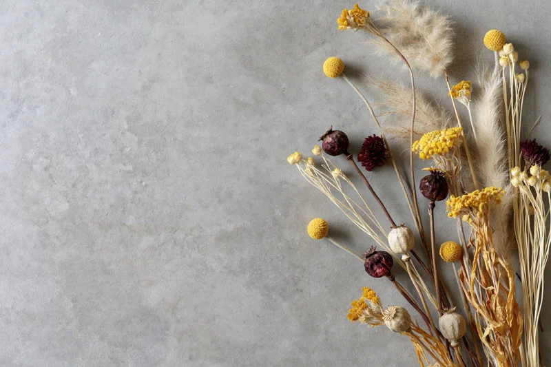Dried wildflowers and seed pods arranged loosely along the right side of a gray concrete surface