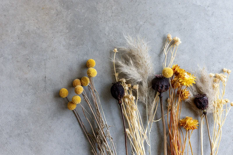 Dried wildflowers and seed pods arranged loosely on a gray concrete surface